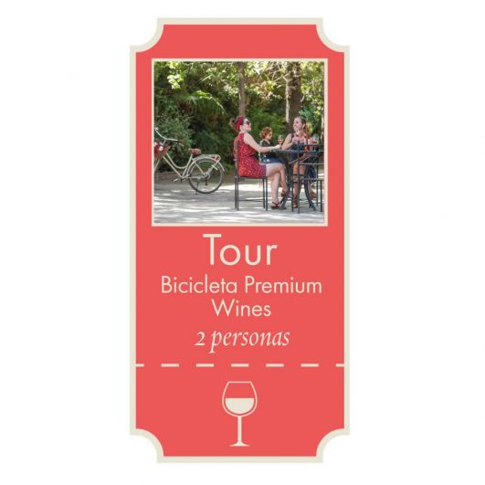 tour-bicicleta-premium-wines-cousinomacul